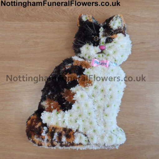 CAT Funeral Tribute – sptr0028 - Image 2